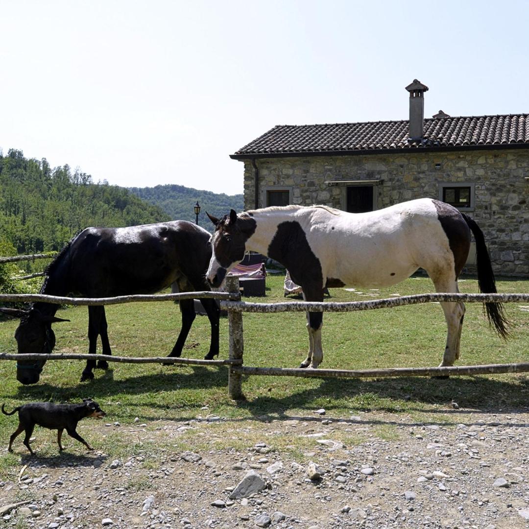 Villa Le Chianine Dei Tognoli Gragnola Exterior foto